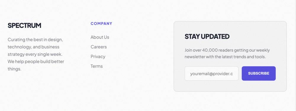 High-Conversion Newsletter Footer