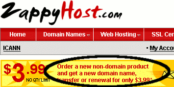 Screenshot of selecting cheap domain name deal